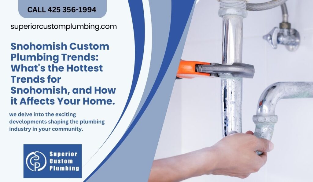 Snohomish Custom Plumbing Trends: What's the Hottest Trends for Snohomish, and How it Affects Your Home.