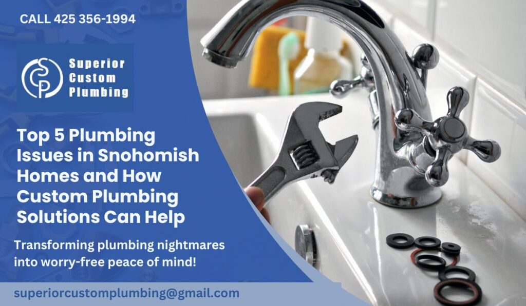 Top 5 Plumbing Issues in Snohomish Homes and How Custom Plumbing Solutions Can Help
